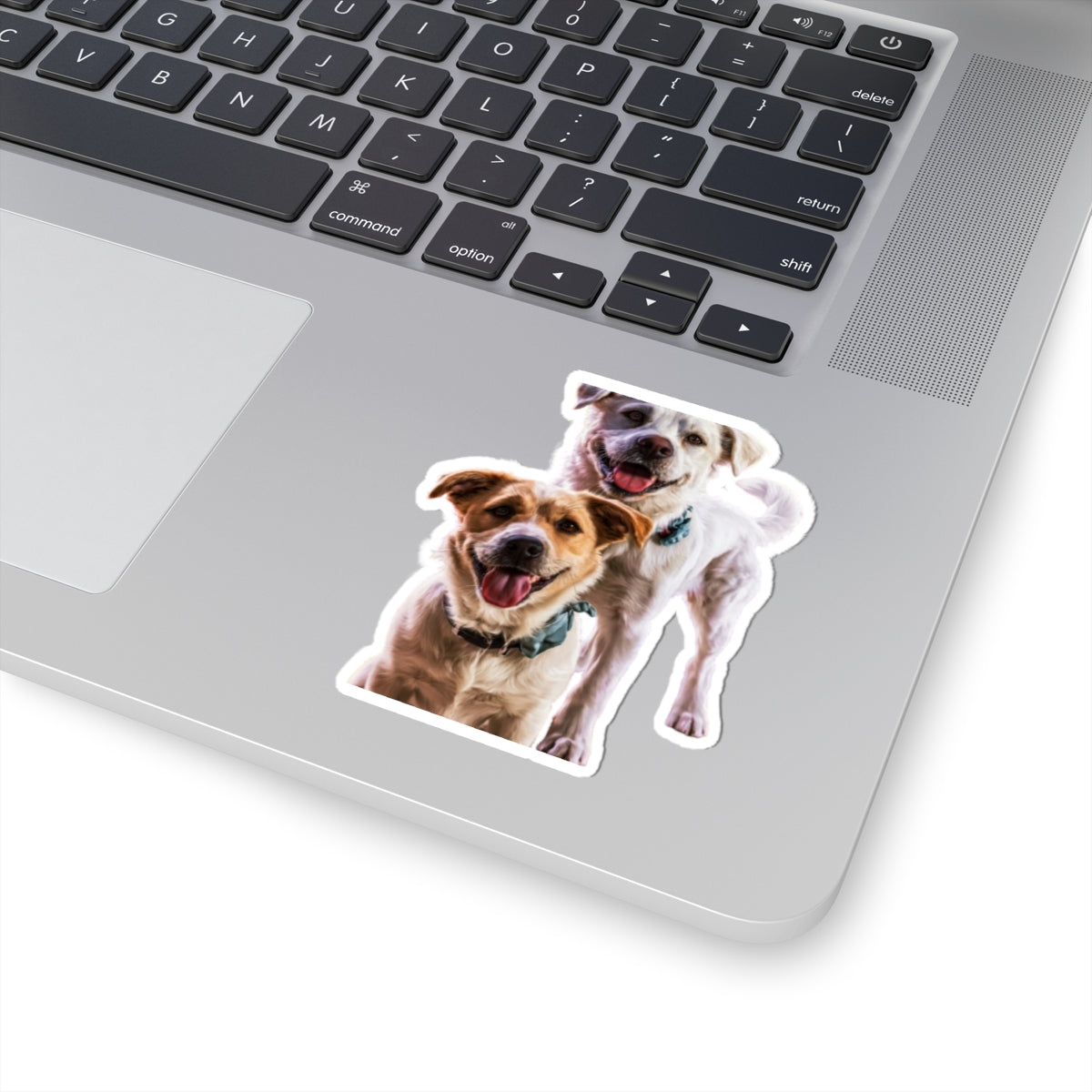 Happy Dogs Kiss-Cut Sticker – Smiling Duo Laptop Decal