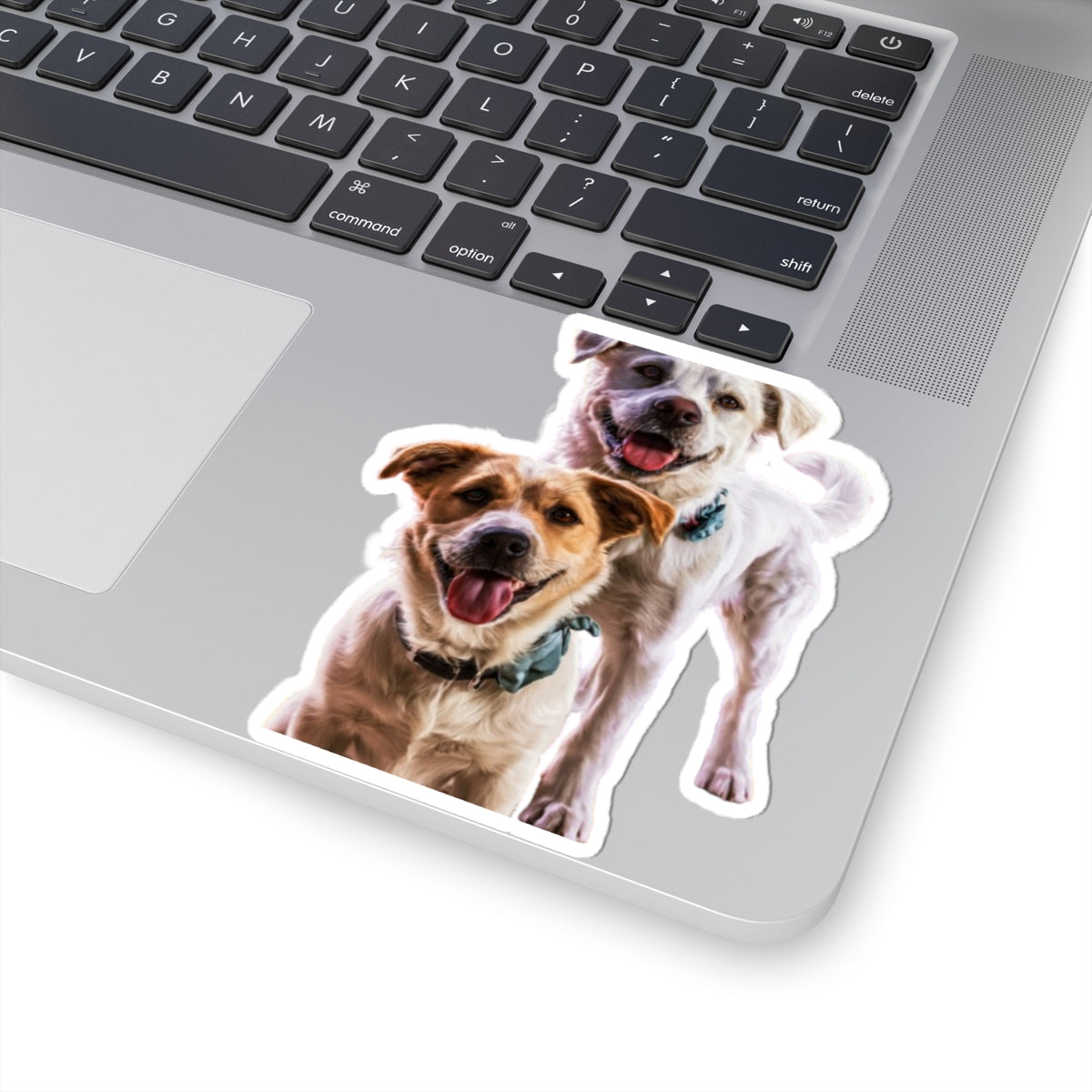 Happy Dogs Kiss-Cut Sticker – Smiling Duo Laptop Decal