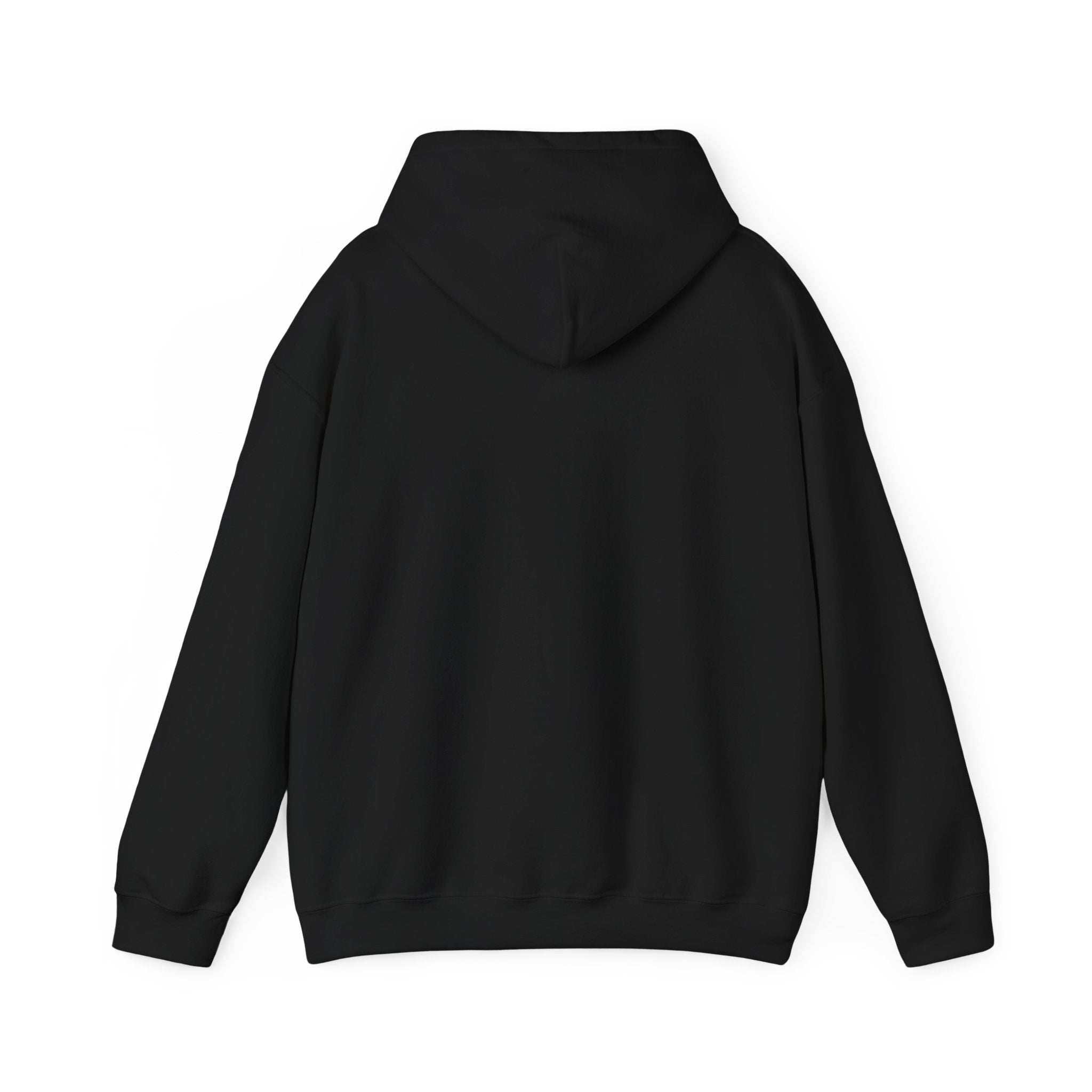 USA 250 Emblem Hoodie | 250th Anniversary, Patriotic Heritage